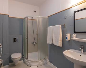 Фото Гостевой дом Vila Rosa 2 г. Клуж-Напока 5