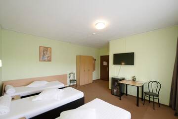 Фото номера Трехместный номер Гостевой дом Vila Rosa 2 г. Клуж-Напока 2