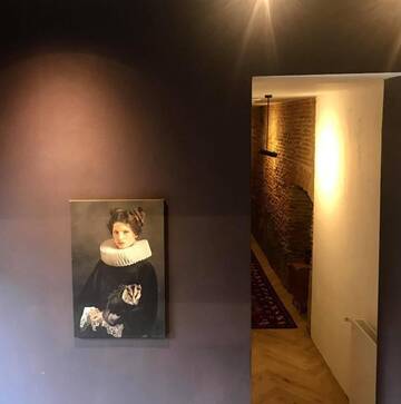 Фото номера Апартаменты - Двухуровневые Апарт-отели Camino Home 2 г. Клуж-Напока 15