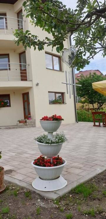 Фото Проживание в семье Casa Ana г. Клуж-Напока 1