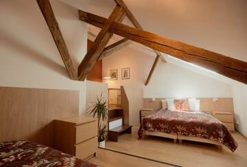 Фото номера Двухместный номер Делюкс с 1 кроватью Гостевой дом Guest House 1568 г. Клуж-Напока 3