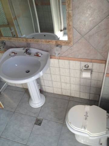 Фото номера Двухместный номер с 1 кроватью Гостевой дом Pensiunea Vila Dana г. Клуж-Напока 5