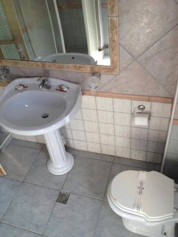 Фото номера Двухместный номер с 1 кроватью Гостевой дом Pensiunea Vila Dana г. Клуж-Напока 10