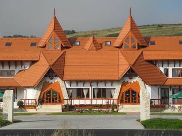Фото Гостевой дом Bonanza Pensiune &amp; Restaurant г. Клуж-Напока 1