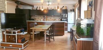 Фото номера Вилла Виллы Ilmar House г. Клуж-Напока 3