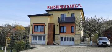 Фото Гостевой дом Pensiunea Gaby г. Клуж-Напока 3