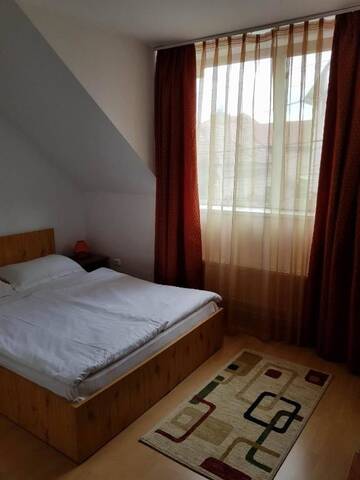 Фото номера Двухместный номер с 1 кроватью Гостевой дом Vila Vanda г. Клуж-Напока 14