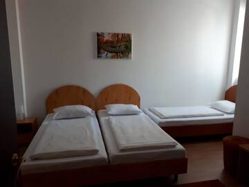 Фото номера Трехместный номер Гостевой дом Vila Vanda г. Клуж-Напока 3