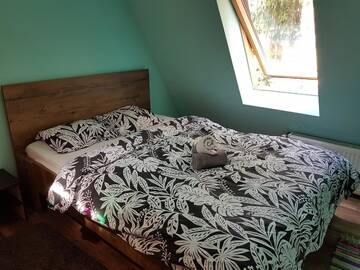 Фото номера Двухместный номер с 1 кроватью и общей ванной комнатой Хостелы Zen Hostel by Pura Vida г. Клуж-Напока 2
