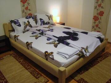Фото номера Двухместный номер с 1 кроватью Гостевой дом Guest House Andrei г. Клуж-Напока 5