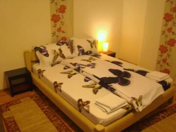 Фото номера Двухместный номер с 1 кроватью Гостевой дом Guest House Andrei г. Клуж-Напока 11