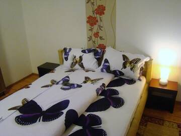 Фото номера Двухместный номер с 1 кроватью Гостевой дом Guest House Andrei г. Клуж-Напока 9