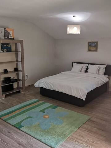 Фото Апарт-отели Vikings Grigo Apartaments г. Клуж-Напока 1