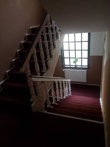 Фото Хостелы Enjoy Hostel г. Клуж-Напока 5