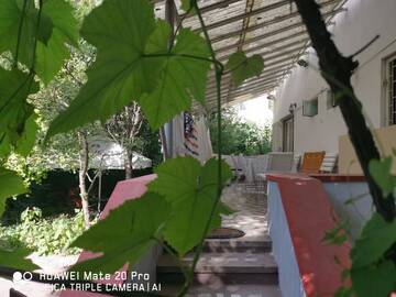 Фото Хостелы Enjoy Hostel г. Клуж-Напока 3