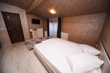 Фото номера Номер Делюкс с диваном Гостевой дом Nelana Guest House г. Клуж-Напока 12