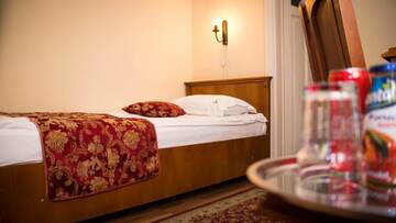 Фото номера Бюджетный одноместный номер Отель Hotel Transilvania г. Клуж-Напока 5