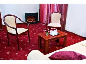 Фото номера Люкс с 1 спальней Отель Hotel Ary г. Клуж-Напока 6