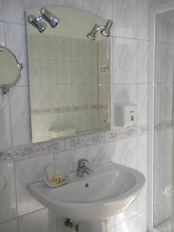Фото номера Полулюкс Отель Hotel Ary г. Клуж-Напока 4