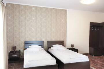 Фото номера Двухместный номер Делюкс с 2 отдельными кроватями Отель Hotel Rao г. Клуж-Напока 6