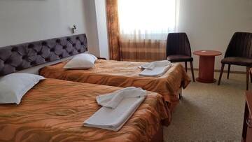 Фото номера Стандартный двухместный номер с 2 отдельными кроватями Отель Hotel Alexis г. Клуж-Напока 2