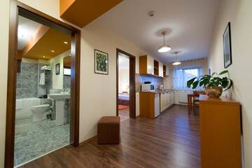 Фото номера Апартаменты-студио Апарт-отели Cabrio Apart Hotel г. Клуж-Напока 74