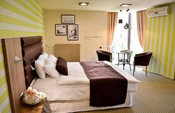 Фото номера Двухместный номер Делюкс с 1 кроватью Отель Hotel Capitolina City Chic г. Клуж-Напока 3