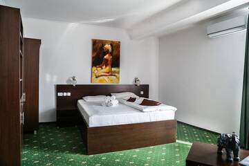 Фото номера Люкс с 1 спальней Отель Hotel Pami г. Клуж-Напока 5