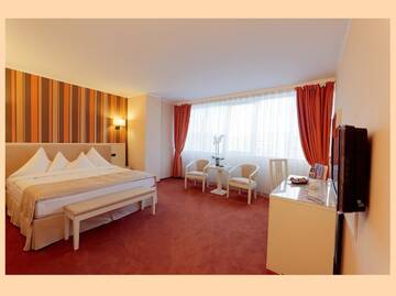 Фото Отель Hotel Paradis г. Клуж-Напока 4