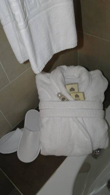 Фото номера Представительский двухместный номер с 1 кроватью Отель Hotel Paradis г. Клуж-Напока 4