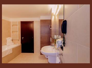 Фото номера Представительский двухместный номер с 1 кроватью Отель Hotel Paradis г. Клуж-Напока 6