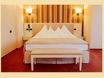 Фото номера Представительский двухместный номер с 1 кроватью Отель Hotel Paradis г. Клуж-Напока 3