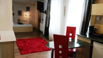 Фото номера Номер-студио Апарт-отели Lucas 10 Apartments г. Клуж-Напока 42
