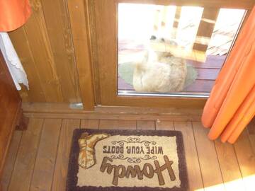 Фото номера Коттедж &quot;Transylvania Cowboy&quot; Загородные дома Transylvania Cowboy Cottage г. Клуж-Напока 17