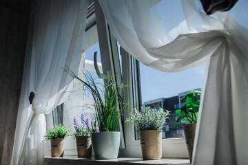 Фото номера Улучшенные апартаменты Апарт-отели Diandra Residence г. Клуж-Напока 16