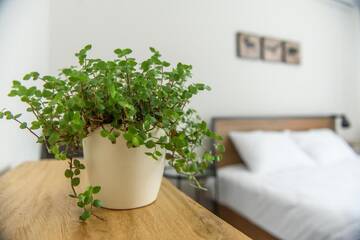 Фото номера Улучшенный двухместный номер с 1 кроватью Апарт-отели TamTam Urban г. Клуж-Напока 4
